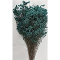 Preserved Limonium Blue 4.5oz.